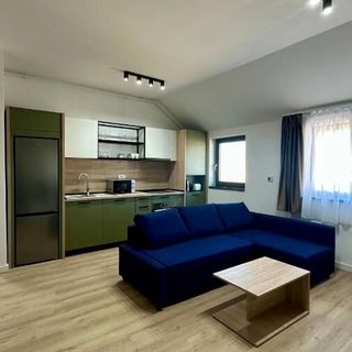 Eliza Apartments Timișoara (3)