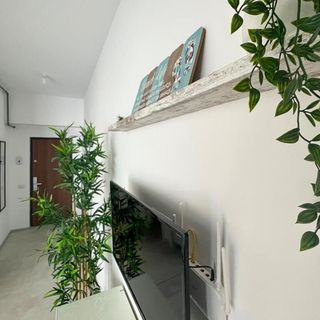 Black Sea Booking - Azimuth Beach Studios Năvodari (3)