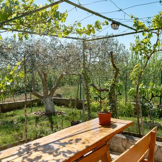 Apartment Danijela Nin (4)