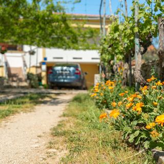 Apartment Danijela Nin (5)