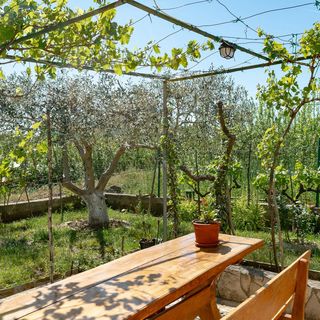 Apartment Danijela Nin (4)