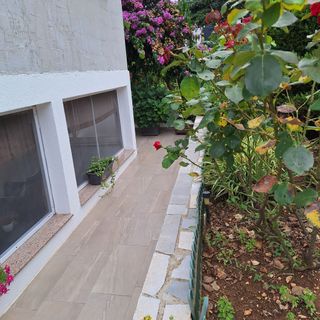 Apartment Roland Vrsar (4)