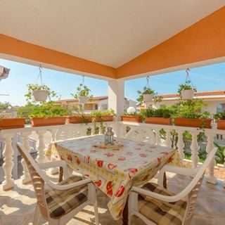 House Seagull Vir (2)