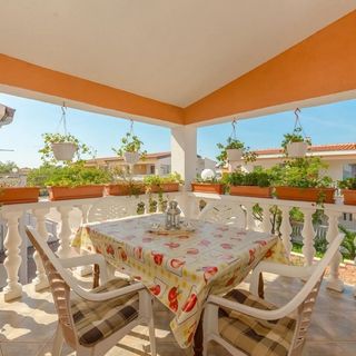 House Seagull Vir (2)