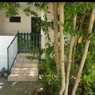 Apartment Darina Necujam (2)