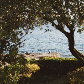 House Villa Petar 1 Zadar (4)