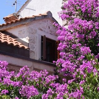 House Davor Sutivan (2)