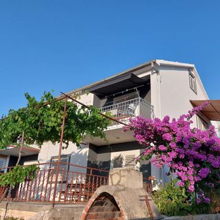 Apartments Bor Kraj (4)