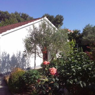 Apartments Neda Sutivan (4)