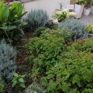 Apartments Angel Makarska (4)