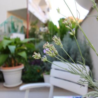 Apartments Angel Makarska (5)