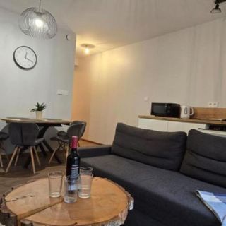 Apartament Loppet Szklarska Poręba (2)
