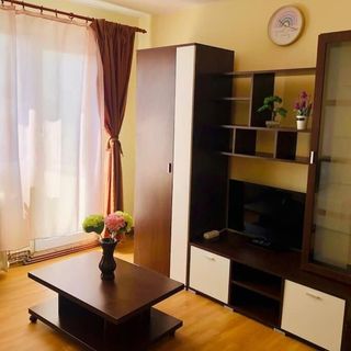 Apartament Joy City Stay Lucaciu 16 Timișoara (3)