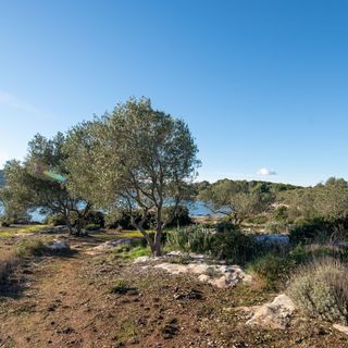 Halászkunyhó Nyaraláshoz A Tenger Mellett Öböl Babac, Pasman - 20901 Babac (2)