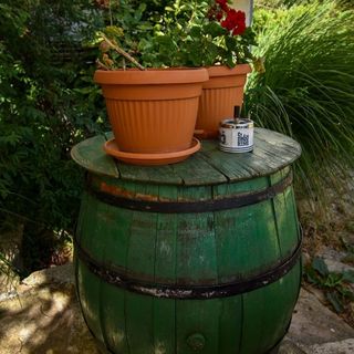 Apartments and Rooms Frane Palit (4)