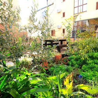 Apartments Oasis Nin (5)