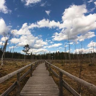 Apartament Marcel (5)