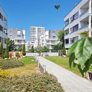 visit baltic - na Platanie CH15P (2)