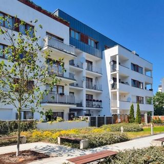 visit baltic - na Platanie CH15P (3)