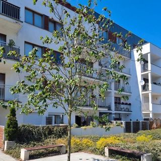 visit baltic - na Platanie CH15P (5)