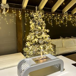 Vila Paradis Predeal (4)