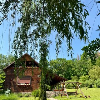 Cabana Oana 5-bedrooms chalet Târnova (4)