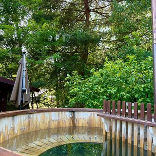 Cabana Oana 5-bedrooms chalet Târnova (5)