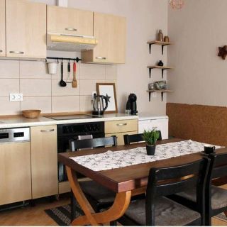 Apartament Elizabet Home Oradea (4)