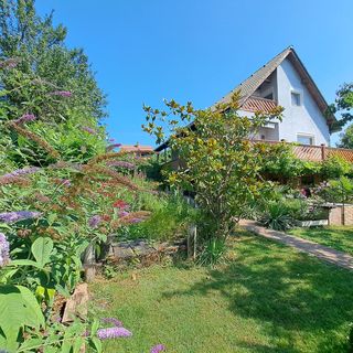 Borostyán Ház Felsőörs (3)