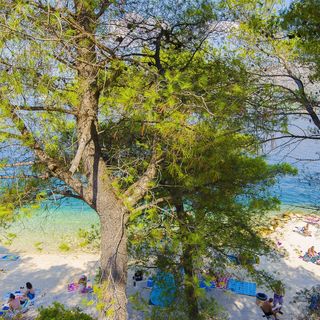 Apartment Denis Okrug Donji (5)