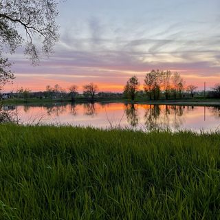 Pasku-Parti Vendégház Mezőladány (4)
