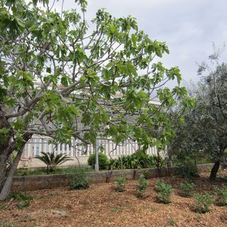 House VesnaD Seget Vranjica (5)