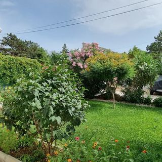 Apartments PAna Silo (3)