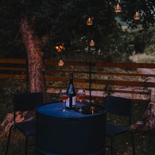 Cabana Mirajul Rimetea (4)