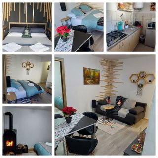 Apartament Refugiu Alpin Borsec (5)