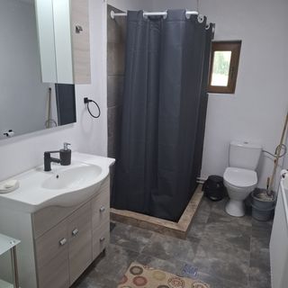 Cabana din Bușuc Râșca (5)