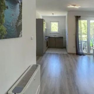Apartman Bibinje - CDI943 (4)