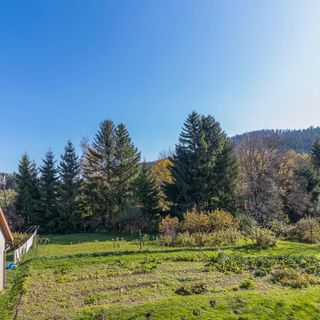 Apartman Ravna Gora - CKB425 (2)