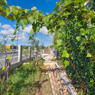 Apartman Pirovac - CSV207 (2)