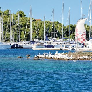 Apartman Rogoznica - CSV178 (5)