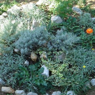 Apartments Tiho Zivogosce (4)