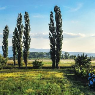 Vendégház Sinj - CSC724 (4)