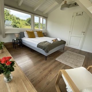 Dandelion Szőlőliget Vendégház Kisapáti (4)