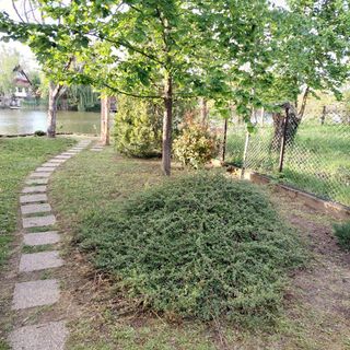 Árnyas Part Vendégház Gyomaendrőd (4)