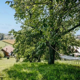 Vendégház Moschendorf - ABU220 (3)