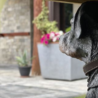 Apartamenty Gosia & Mariusz Biały Dunajec (2)