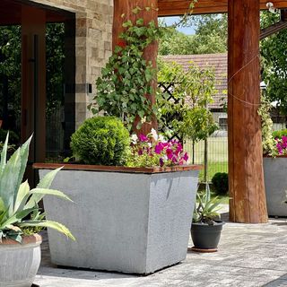 Apartamenty Gosia & Mariusz Biały Dunajec (3)