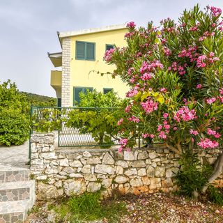 Apartments Josipa Primosten (4)