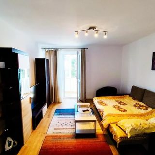 Flamingo Apartment Sibiu (3)