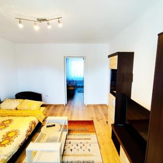 Flamingo Apartment Sibiu (4)